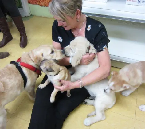 Puppy Happy Hour at Bowmanville Veterinary Clinic